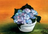 L'hortensia 